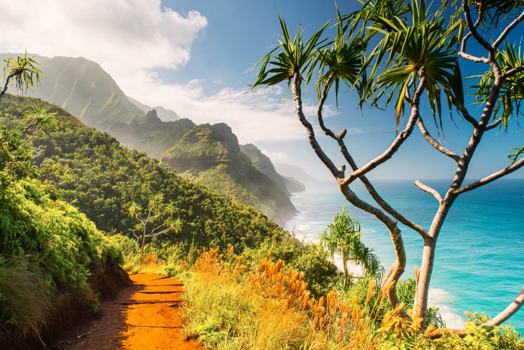 Hiking the Kalalau Trail to Hanakāpīʻai Falls: The Complete Na Pali Coast Day Hike Guide